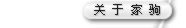 关于家驹